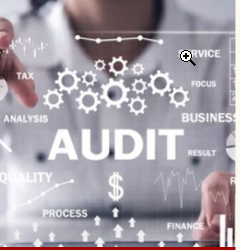 Audit Organisationnel